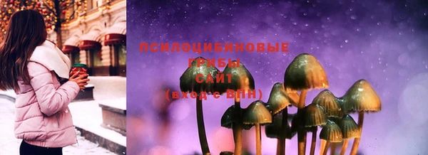 индика Козловка