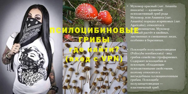 мяу мяу мука Козельск