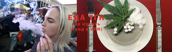 индика Козловка