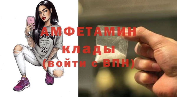 индика Козловка