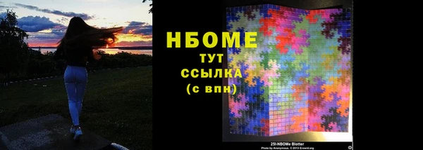 индика Козловка