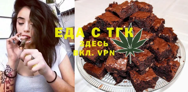 индика Козловка