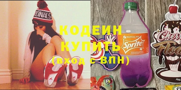 индика Козловка