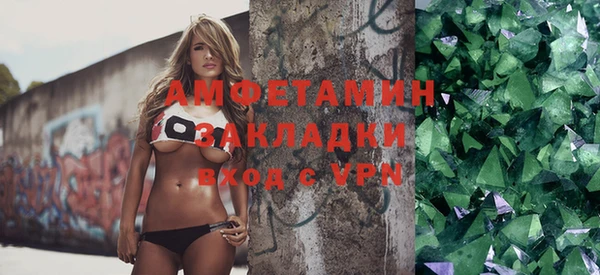 индика Козловка