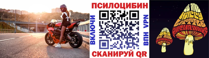 mega рабочий сайт  Малоярославец  Псилоцибиновые грибы GOLDEN TEACHER 