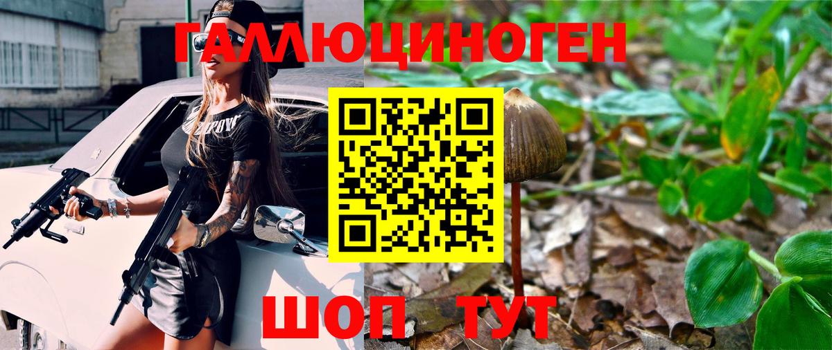 Псилоцибиновые грибы MAGIC MUSHROOMS  купить закладку  Галлюциногенные грибы GOLDEN TEACHER  Малоярославец 