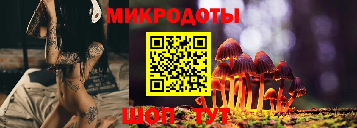 Малоярославец  даркнет сайт  Вход с VPN  Галлюциногенные грибы мухоморы 